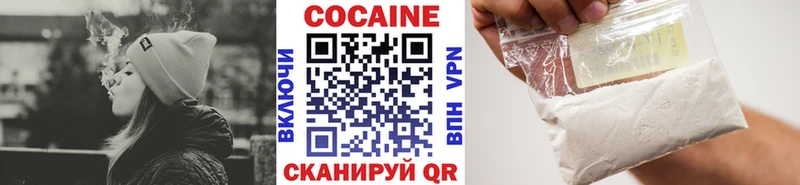 Купить  Шахунья  COCAIN Fish Scale 