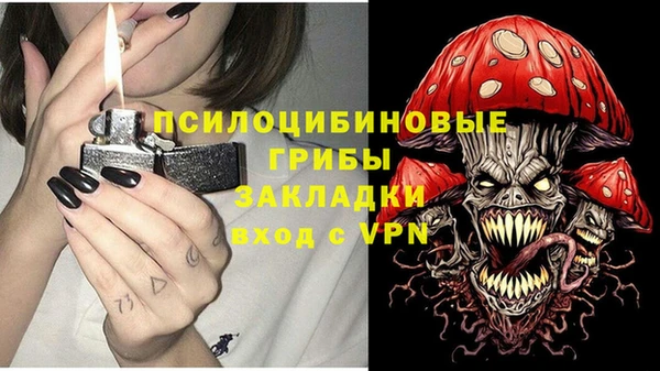 дживик Кинешма