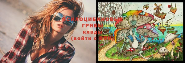 дживик Кинешма