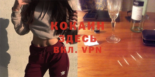 дживик Кинешма