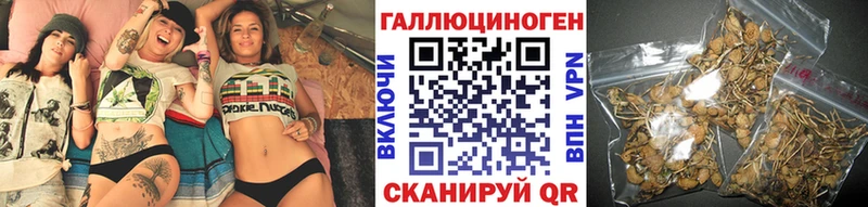 Псилоцибиновые грибы ЛСД  Купить закладки  Шахунья 