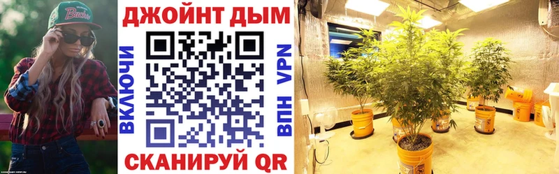 Купить где  Шахунья  Канабис план 